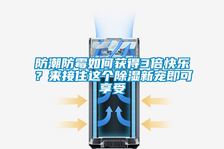 防潮防霉如何獲得3倍快樂？來接住這個除濕新寵即可享受
