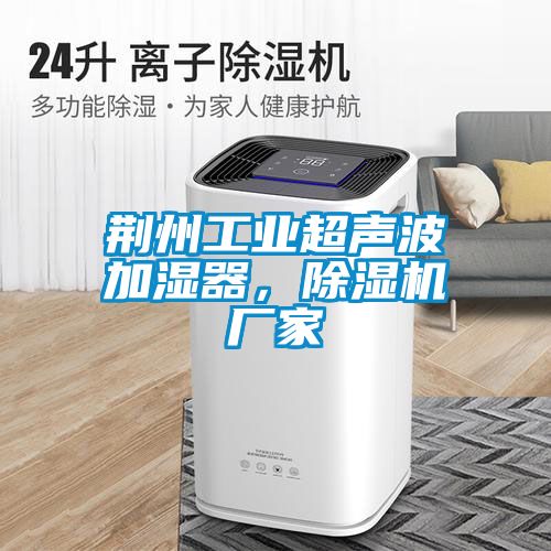 荊州工業(yè)超聲波加濕器，除濕機廠家