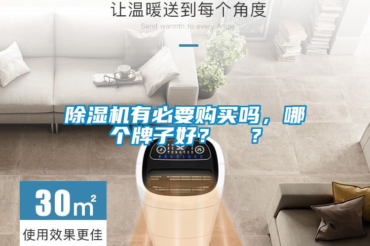 除濕機(jī)有必要購買嗎，哪個(gè)牌子好？  ？
