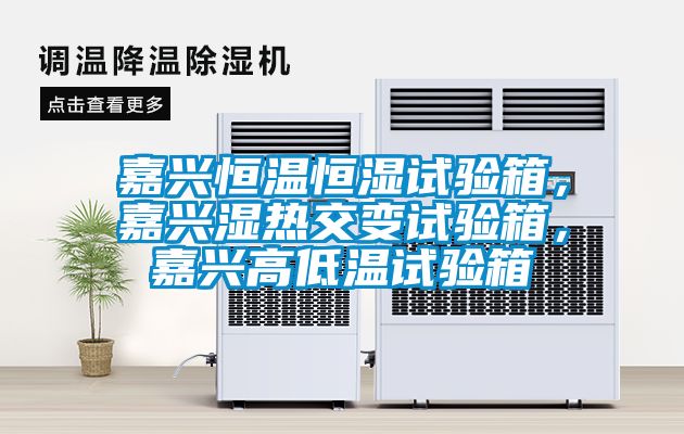 嘉興恒溫恒濕試驗(yàn)箱，嘉興濕熱交變?cè)囼?yàn)箱，嘉興高低溫試驗(yàn)箱