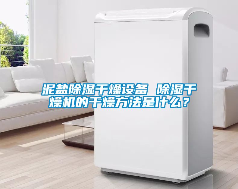 泥鹽除濕干燥設(shè)備 除濕干燥機(jī)的干燥方法是什么？