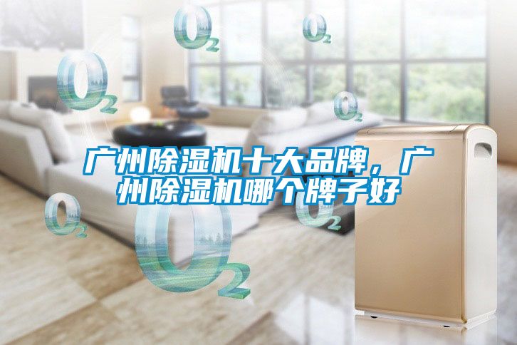 廣州除濕機十大品牌，廣州除濕機哪個牌子好