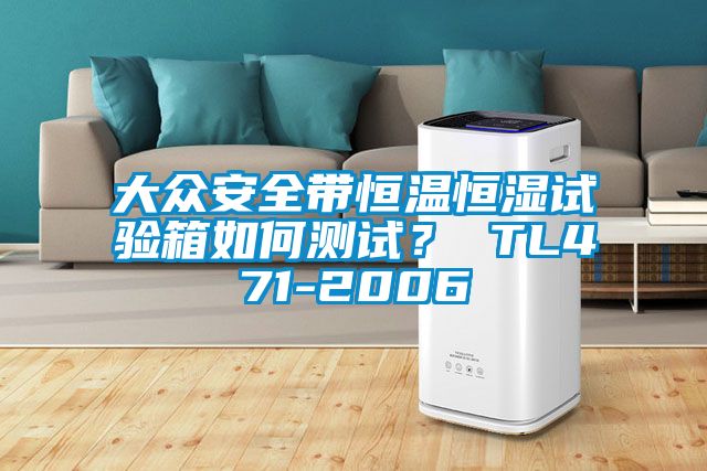 大眾安全帶恒溫恒濕試驗(yàn)箱如何測試？ TL471-2006