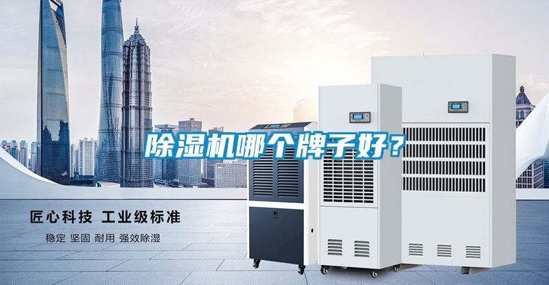 除濕機哪個牌子好？
