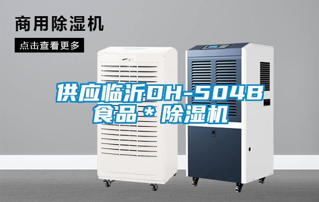 供應(yīng)臨沂DH-504B食品＊除濕機