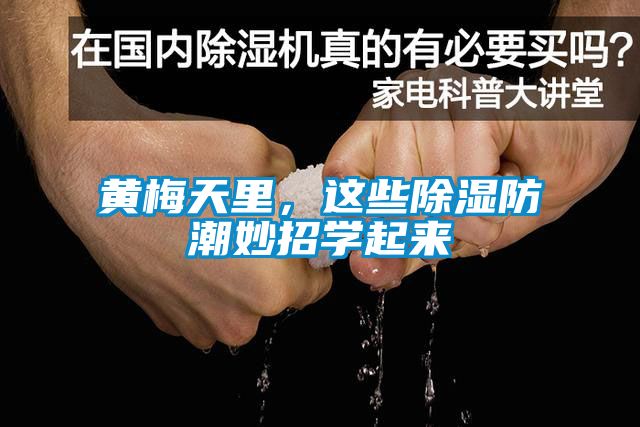 黃梅天里，這些除濕防潮妙招學(xué)起來