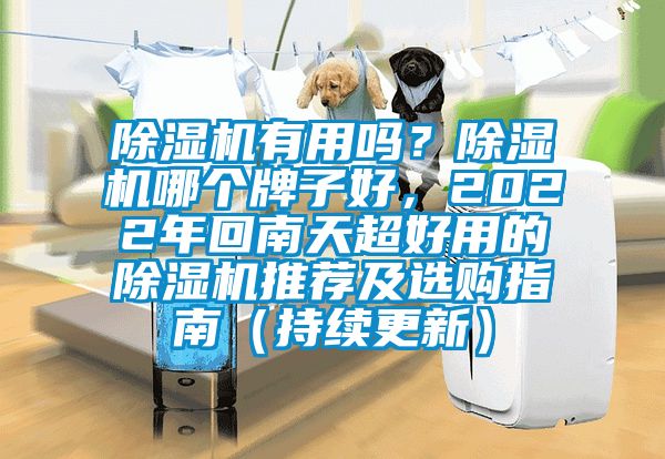 除濕機有用嗎？除濕機哪個牌子好，2022年回南天超好用的除濕機推薦及選購指南（持續(xù)更新）
