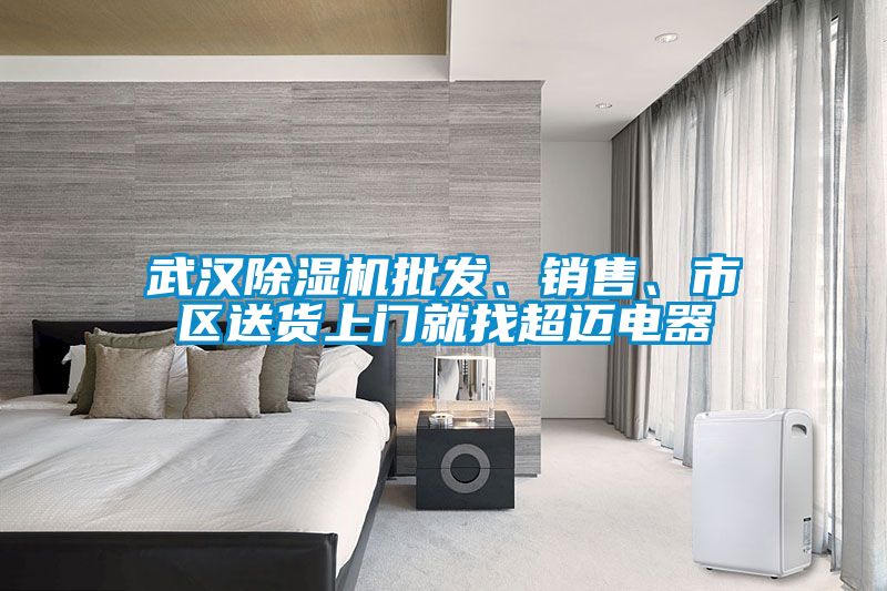 武漢除濕機(jī)批發(fā)、銷售、市區(qū)送貨上門就找超邁電器