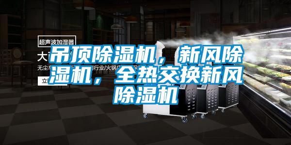 吊頂除濕機(jī)，新風(fēng)除濕機(jī)，全熱交換新風(fēng)除濕機(jī)