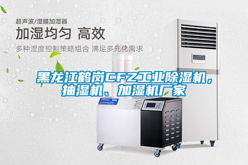 黑龍江鶴崗CFZ工業除濕機，抽濕機、加濕機廠家