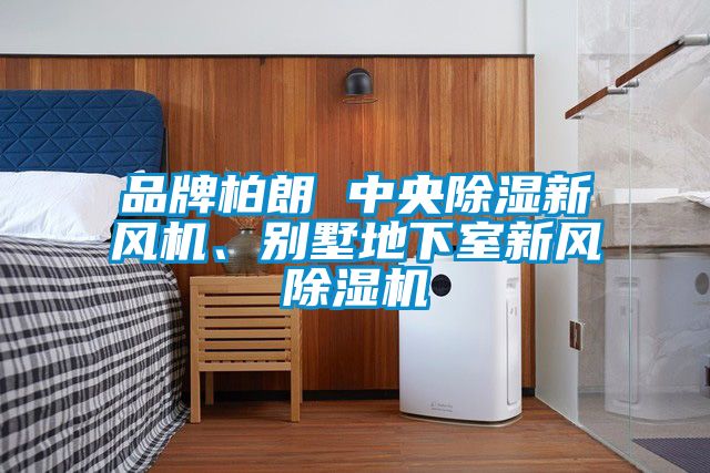 品牌柏朗 中央除濕新風(fēng)機(jī)、別墅地下室新風(fēng)除濕機(jī)