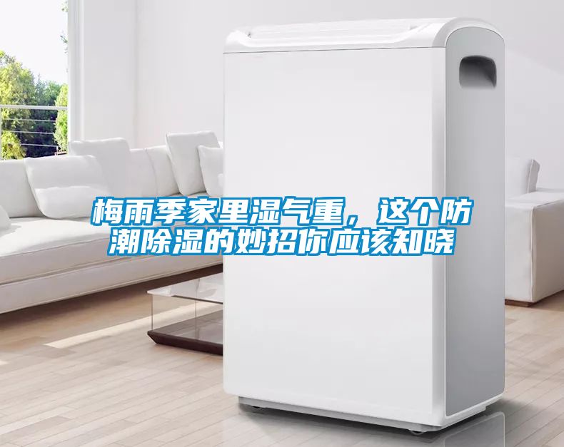 梅雨季家里濕氣重，這個(gè)防潮除濕的妙招你應(yīng)該知曉