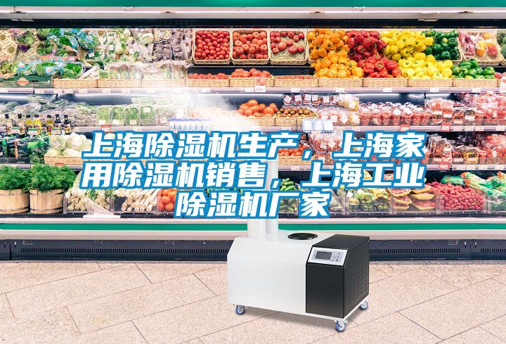 上海除濕機(jī)生產(chǎn)，上海家用除濕機(jī)銷售，上海工業(yè)除濕機(jī)廠家