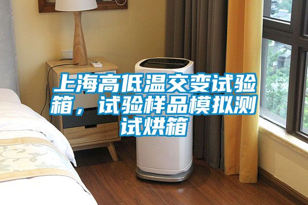 上海高低溫交變試驗箱，試驗樣品模擬測試烘箱