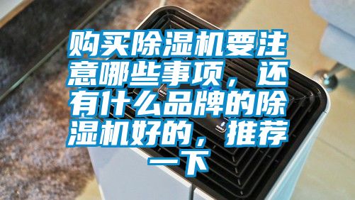 購買除濕機要注意哪些事項，還有什么品牌的除濕機好的，推薦一下