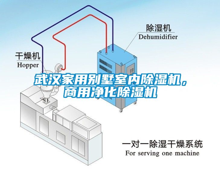 武漢家用別墅室內(nèi)除濕機(jī)，商用凈化除濕機(jī)