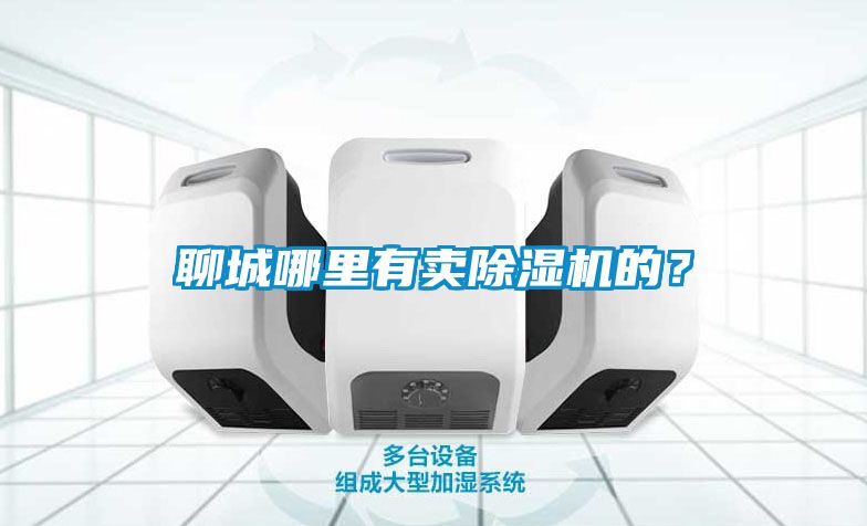 聊城哪里有賣除濕機的？