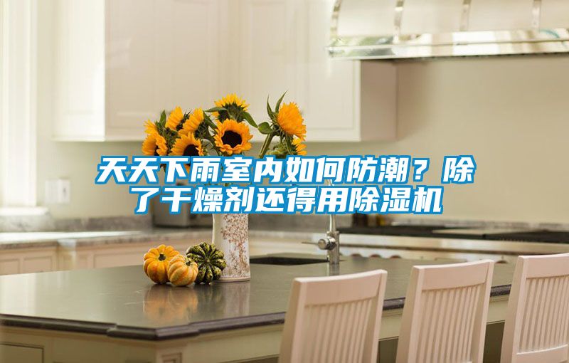 天天下雨室內如何防潮？除了干燥劑還得用除濕機