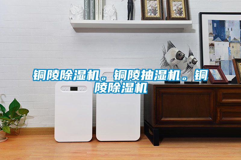 銅陵除濕機(jī)。銅陵抽濕機(jī)。銅陵除濕機(jī)