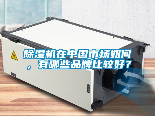 除濕機(jī)在中國(guó)市場(chǎng)如何，有哪些品牌比較好？
