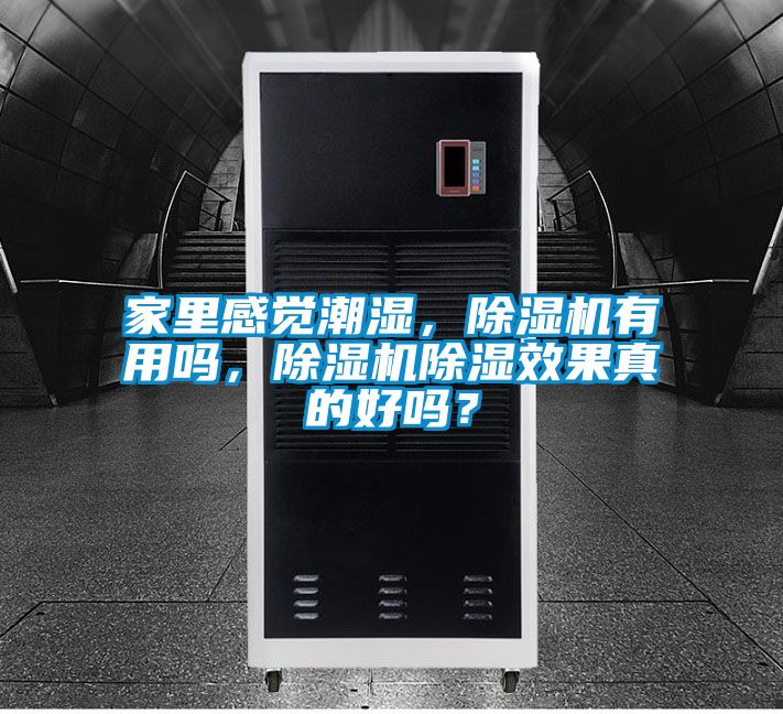 家里感覺潮濕，除濕機有用嗎，除濕機除濕效果真的好嗎？