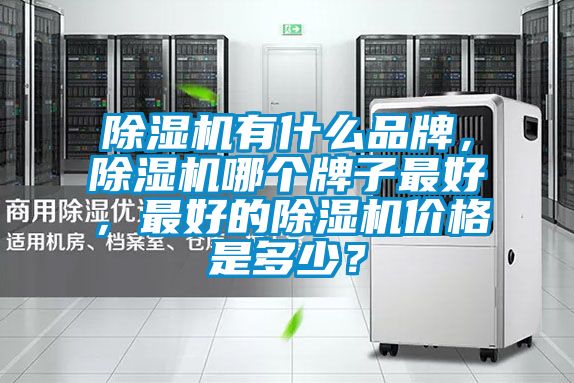除濕機(jī)有什么品牌，除濕機(jī)哪個(gè)牌子最好，最好的除濕機(jī)價(jià)格是多少？