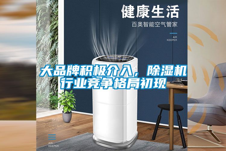 大品牌積極介入，除濕機(jī)行業(yè)競爭格局初現(xiàn)