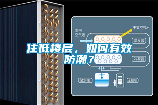 住低樓層，如何有效防潮？