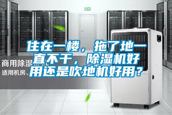 住在一樓，拖了地一直不干，除濕機好用還是吹地機好用？