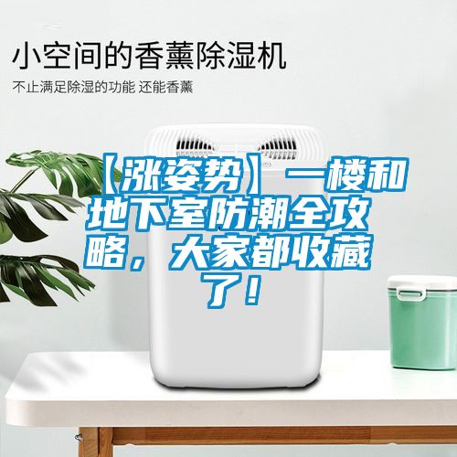【漲姿勢】一樓和地下室防潮全攻略，大家都收藏了！