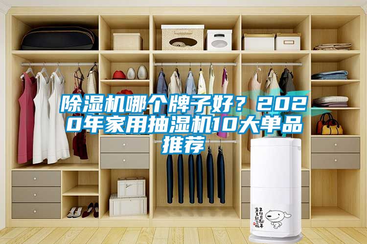 除濕機哪個牌子好？2020年家用抽濕機10大單品推薦