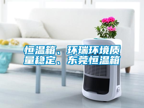 恒溫箱、環(huán)瑞環(huán)境質量穩(wěn)定、東莞恒溫箱