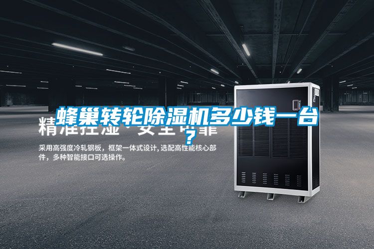 蜂巢轉(zhuǎn)輪除濕機(jī)多少錢一臺？