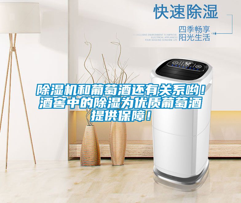 除濕機(jī)和葡萄酒還有關(guān)系喲！酒窖中的除濕為優(yōu)質(zhì)葡萄酒提供保障！