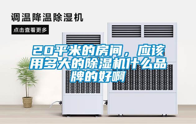 20平米的房間，應(yīng)該用多大的除濕機(jī)什么品牌的好啊