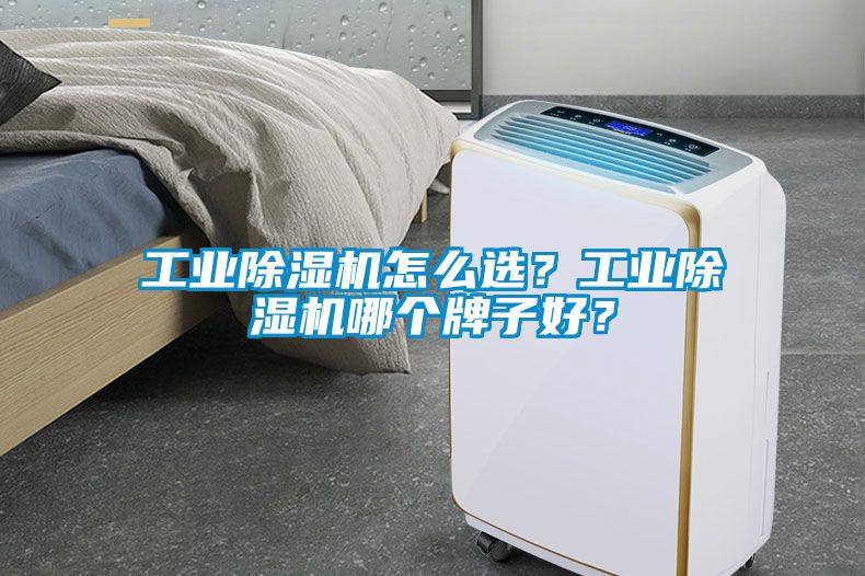 工業(yè)除濕機(jī)怎么選？工業(yè)除濕機(jī)哪個(gè)牌子好？