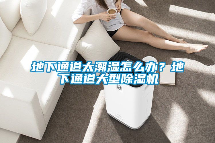 地下通道太潮濕怎么辦？地下通道大型除濕機