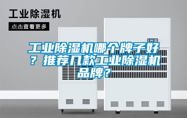 工業(yè)除濕機(jī)哪個(gè)牌子好？推薦幾款工業(yè)除濕機(jī)品牌？