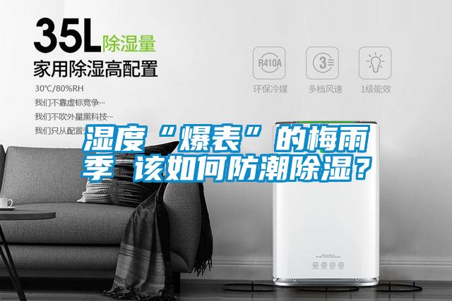 濕度“爆表”的梅雨季 該如何防潮除濕？
