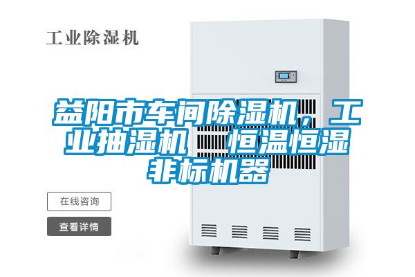 益陽市車間除濕機(jī)，工業(yè)抽濕機(jī)  恒溫恒濕非標(biāo)機(jī)器