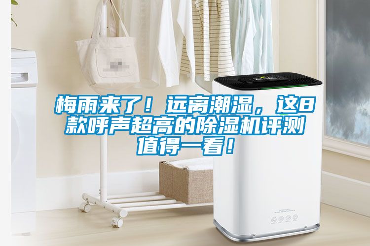 梅雨來了！遠(yuǎn)離潮濕，這8款呼聲超高的除濕機(jī)評測值得一看！