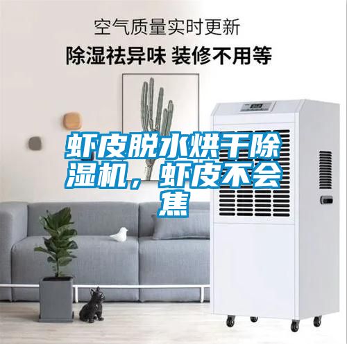 蝦皮脫水烘干除濕機，蝦皮不會焦