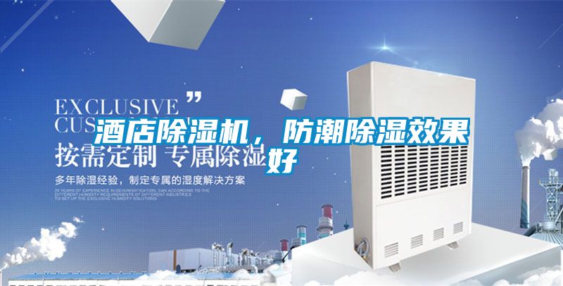 酒店除濕機(jī)，防潮除濕效果好