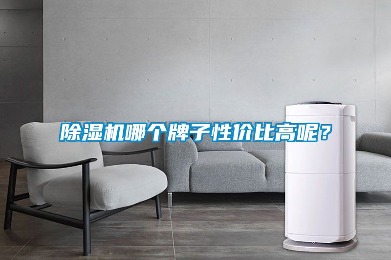 除濕機(jī)哪個(gè)牌子性價(jià)比高呢？