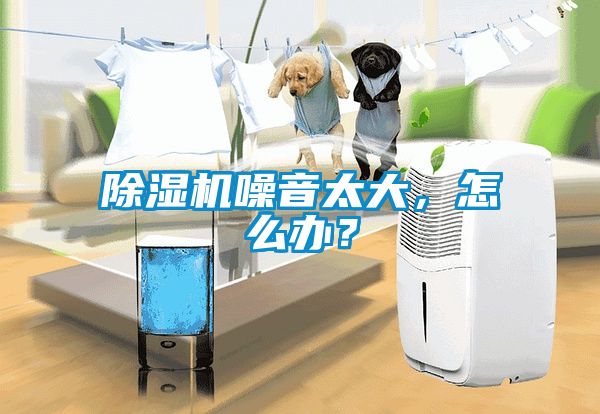 除濕機(jī)噪音太大，怎么辦？