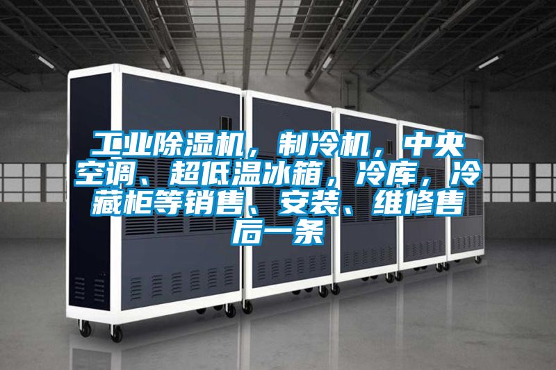 工業(yè)除濕機，制冷機，中央空調(diào)、超低溫冰箱，冷庫，冷藏柜等銷售、安裝、維修售后一條