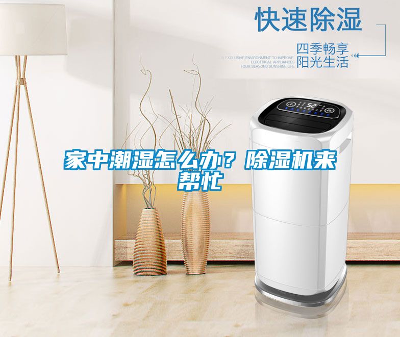 家中潮濕怎么辦？除濕機來幫忙