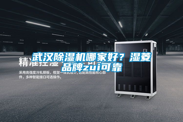 武漢除濕機哪家好？濕菱品牌zui可靠