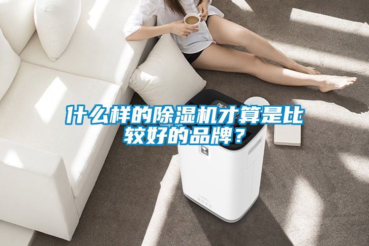 什么樣的除濕機才算是比較好的品牌？