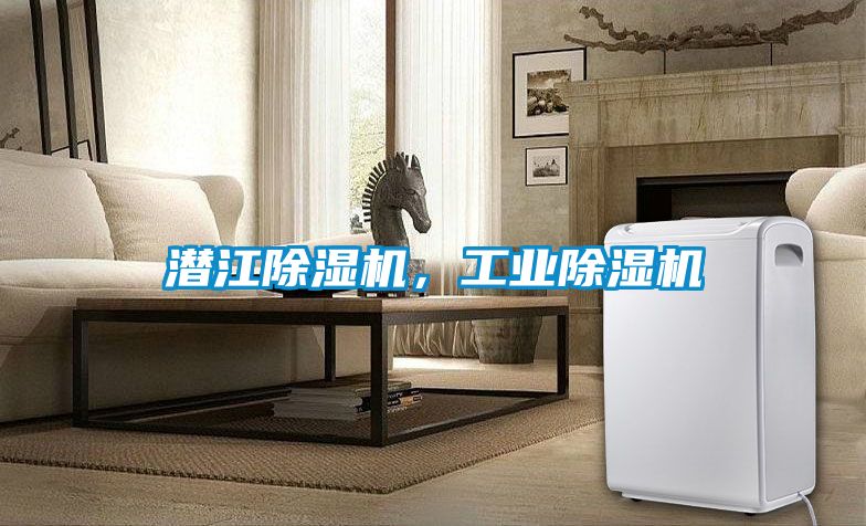 潛江除濕機，工業(yè)除濕機
